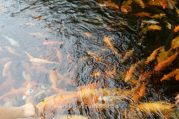 Antrian panjang di Budaya Resto pada hari Imlek Ke 2 , gagal makan