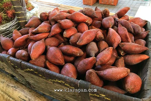 garden suphattra, rayong fruit farm, lamai fruit, thai fruits photos, thai sour fruit, red spiky thai fruit, in season fruit thailand, oranges thai, pusa thai fruit, suphattra fruit garden pattaya, supatra fruit garden pattaya, suphattra land rayong fruit garden, kebun buah suphattra, kebun buah di thailand, wisata thailand