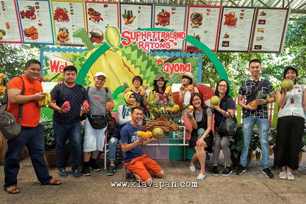 garden suphattra, rayong fruit farm, lamai fruit, thai fruits photos, thai sour fruit, red spiky thai fruit, in season fruit thailand, oranges thai, pusa thai fruit, suphattra fruit garden pattaya, supatra fruit garden pattaya, suphattra land rayong fruit garden, kebun buah suphattra, kebun buah di thailand, wisata thailand