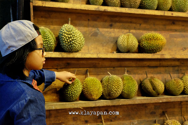 si bolang durian, ucok durian, durian medan