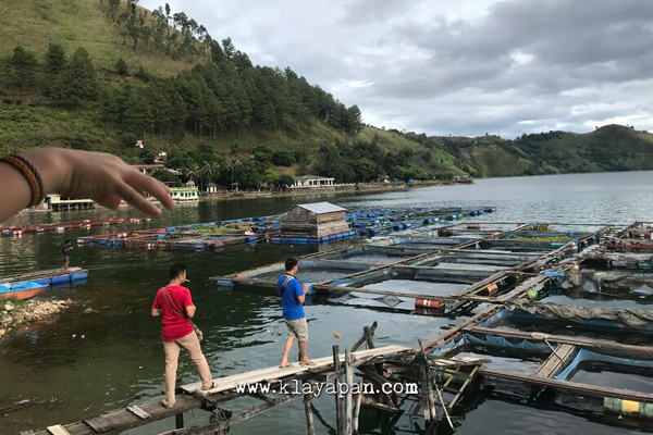ikan
