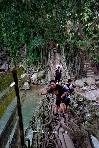 jembatan akar di sumatera barat