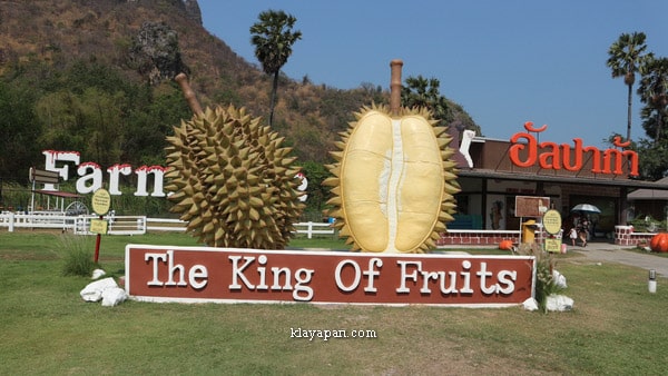 wisata paling asik di bangkok, tempat wisata paling asik di bangkok, wisata asik di bangkok, tempat wisata asik di bangkok, objek wisata di bangkok, jalan-jalan di bangkok, tempat wisata di bangkok 2019, tempat wisata di thailand 2019, tempat wisata seru di bangkok, tempat wisata seru di thailand, tempat wisata terbaru di bangkok, tempat wisata terbaru di thailand, wisata bangkok 2019, wisata thailand 2019, tempat wisata di bangkok untuk backpancker, tempat wisata di thailand untuk backpancker, wisata huahin di bangkok, wisata santorini park di bangkok, wisata swiss sheep farm di bangkok, wisata train night market di bangkok, wisata dream world di bangkok, wisata chatucak weekend market di bangkok, wisata huahin di thailand, wisata santorini park di thailand, wisata swiss sheep farm di thailand, wisata train night market di thailand, wisata dream world di thailand, wisata chatucak weekend market di thailand, wisata swiss sheep farm, wisata swiss sheep farm pattaya, tempat wisata swiss sheep farm