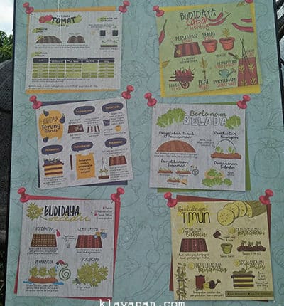 Taman The Le Hu Garden – Macam-macam Budidaya Tanaman