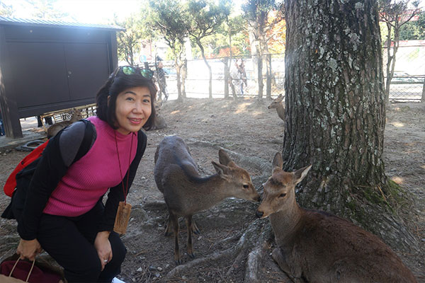 wisata jepang yang wajib dikunjungi, wisata jepang yang wajib anda kunjungi, wisata jepang terbaik, ada apa dengan jepang, nara todaiji temple, nara yoshikien garden, rekomendasi wisata di nara, apa saja wisata di nara, tempat wisata di nara, nara jepang, nara