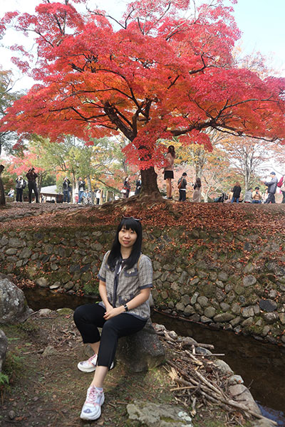 wisata jepang yang wajib dikunjungi, wisata jepang yang wajib anda kunjungi, wisata jepang terbaik, ada apa dengan jepang, nara todaiji temple, nara yoshikien garden, rekomendasi wisata di nara, apa saja wisata di nara, tempat wisata di nara, nara jepang, nara
