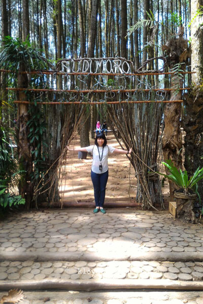 kenapa harus ke yogya, wisata destinasi yogya, malioboro road yogya, hutan pinus yogya, candi borobudur yogya, situs ratu boko yogya, candi roro jonggrang yogya, bukit rhema yogya, gereja ayam yogya, bukit punthuk setumbu yogya, wisata yang ada di yogya, rekomendasi wisata di yogya, wisata di yogya, wisata yogya, kenapa harus ke yogyakarta, wisata destinasi yogyakarta, malioboro road yogyakarta, hutan pinus yogyakarta, candi borobudur yogyakarta, situs ratu boko yogyakarta, candi roro jonggrang yogyakarta, bukit rhema yogyakarta, gereja ayam yogyakarta, bukit punthuk setumbu yogyakarta, wisata yang ada di yogyakarta, rekomendasi wisata di yogyakarta, wisata di yogyakarta, wisata yogyakarta