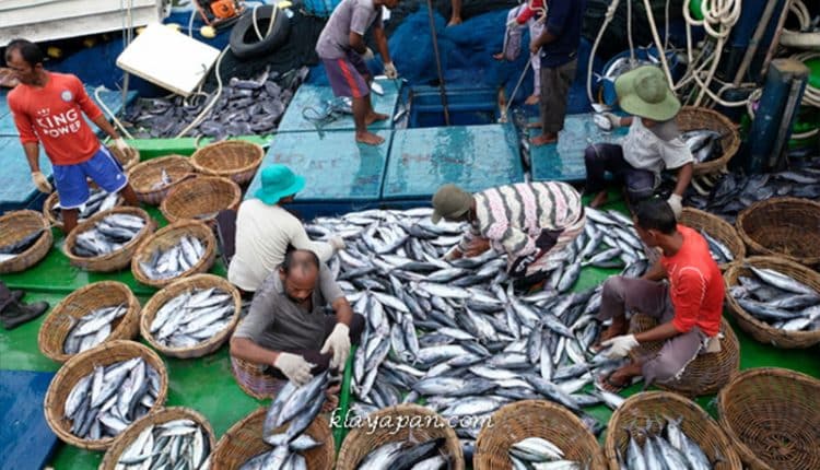 tpi lampulo banda aceh