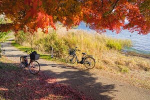 kebun bambu, bamboo grove, pegunungan arashiyama, arashiyama mountains, tenryu-ji, jojakko-ji, sungai katsura, katsura river, matsuo taisha, otagi nenbutsu-ji, kyoto foliage, restoran lokal di arashiyama, makanan jepang tradisional di arashiyama, festival bambu arashiyama, kembang api arashiyama, tempat wisata alam yang harus dikunjungi di arashiyama, tempat wisata budaya di arashiyama yang wajib dikunjungi, pengalaman bersepeda di arashiyama yang tak terlupakan