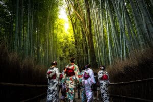 kebun bambu, bamboo grove, pegunungan arashiyama, arashiyama mountains, tenryu-ji, jojakko-ji, sungai katsura, katsura river, matsuo taisha, otagi nenbutsu-ji, kyoto foliage, restoran lokal di arashiyama, makanan jepang tradisional di arashiyama, festival bambu arashiyama, kembang api arashiyama, tempat wisata alam yang harus dikunjungi di arashiyama, tempat wisata budaya di arashiyama yang wajib dikunjungi, pengalaman bersepeda di arashiyama yang tak terlupakan