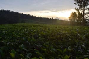 wisata alam bandung, wisata alam di bandung, wisata bandung, wisata di bandung, bandung lembang, wisata alam bandung lembang, Tempat wisata alam Bandung Lembang yang instagramable, Paket wisata alam Bandung Lembang, Harga tiket masuk wisata alam Bandung Lembang, Aktivitas seru di wisata alam Bandung Lembang, Wisata kuliner di Bandung Lembang, Rekomendasi penginapan di wisata alam Bandung Lembang, Wisata edukasi di Bandung Lembang, Spot foto terbaik di wisata alam Bandung Lembang, Wisata keluarga di Bandung Lembang, Tips liburan hemat di wisata alam Bandung Lembang