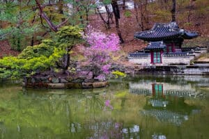 wisata korea selatan, wisata romantis, wisata romantis di korea selatan, wisata korea selatan seoul, pariwisata korea selatan, liburan korea selatan, wisata busan korea selatan, wisata halal korea selatan, tempat wisata romantis di korea selatan, tempat romantis di korea selatan, wisata korea selatan yang terkenal, wisata korea selatan musim dingin, wisata korea selatan 2023, wisata korea selatan yang wajib dikunjungi, wisata korea selatan di seoul, wisata korea selatan 2022, wisata di korea selatan
