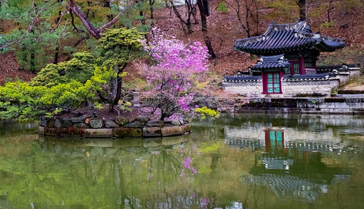 wisata korea selatan, wisata romantis, wisata romantis di korea selatan, wisata korea selatan seoul, pariwisata korea selatan, liburan korea selatan, wisata busan korea selatan, wisata halal korea selatan, tempat wisata romantis di korea selatan, tempat romantis di korea selatan, wisata korea selatan yang terkenal, wisata korea selatan musim dingin, wisata korea selatan 2023, wisata korea selatan yang wajib dikunjungi, wisata korea selatan di seoul, wisata korea selatan 2022, wisata di korea selatan