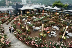 Wisata Sky Rose Garden, Keindahan Sky Rose Garden, Aktivitas seru di Sky Rose Garden, Fasilitas yang tersedia di Sky Rose Garden, Tips liburan ke Sky Rose Garden, Paket liburan Sky Rose Garden, Harga tiket masuk Sky Rose Garden, Rute dan lokasi Sky Rose Garden, Review pengalaman mengunjungi Sky Rose Garden, Spot foto terbaik di Sky Rose Garden