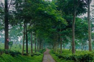 tempat wisata terpopuler di malang, destinasi liburan favorit di malang, wisata malang yang ramai dikunjungi, spot liburan terkenal di kota malang, tujuan wisata terfavorit di jawa timur