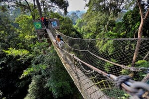 peta kalimantan utara, wisata pontianak, wisata palangkaraya, tempat wisata pontianak, wisata kalimantan selatan, wisata kalimantan timur, tempat wisata di pontianak, wisata kalimantan barat, wisata di pontianak, tempat wisata di kalimantan, wisata kalimantan