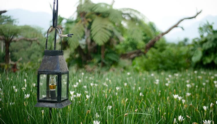 Wisata Magelang, Taman Bunga Magelang, Pemandian Air Panas Magelang, Wisata Alam Magelang, Destinasi Liburan Magelang, Keindahan Alam Magelang, Rekreasi di Magelang, Tempat Piknik di Magelang, Sensasi Menyegarkan, Tempat Wisata Menyegarkan, Pengalaman Liburan Magelang