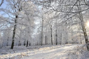 keseruan bermain salju di Dataran Tinggi Ardennes Belgia, liburan salju di Ardennes Belgia, wisata musim dingin di Belgia, petualangan salju di Dataran Tinggi Ardennes Belgia, menikmati salju di Ardennes Belgia, bermain ski di Ardennes Belgia, liburan seru di Ardennes Belgia, keseruan bermain salju Ardennes Belgia, dunia salju di Ardennes Belgia, liburan keluarga di Dataran Tinggi Ardennes Belgia, tempat bermain salju di Ardennes Belgia, aktivitas liburan Ardennes Belgia, keseruan bermain ski di Ardennes Belgia, liburan musim dingin di Belgia, destinasi petualangan salju Ardennes Belgia, keseruan bermain salju musim dingin di Ardennes Belgia, wisata alam musim dingin Ardennes Belgia, menikmati kegiatan salju di Dataran Tinggi Ardennes Belgia, Ardennes Belgia
