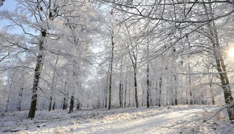 keseruan bermain salju di Dataran Tinggi Ardennes Belgia, liburan salju di Ardennes Belgia, wisata musim dingin di Belgia, petualangan salju di Dataran Tinggi Ardennes Belgia, menikmati salju di Ardennes Belgia, bermain ski di Ardennes Belgia, liburan seru di Ardennes Belgia, keseruan bermain salju Ardennes Belgia, dunia salju di Ardennes Belgia, liburan keluarga di Dataran Tinggi Ardennes Belgia, tempat bermain salju di Ardennes Belgia, aktivitas liburan Ardennes Belgia, keseruan bermain ski di Ardennes Belgia, liburan musim dingin di Belgia, destinasi petualangan salju Ardennes Belgia, keseruan bermain salju musim dingin di Ardennes Belgia, wisata alam musim dingin Ardennes Belgia, menikmati kegiatan salju di Dataran Tinggi Ardennes Belgia, Ardennes Belgia
