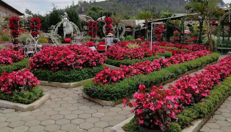 kebun-bunga-begonia-lembang, miniatur-bangunan-the-great-asia-africa, gardu-pandang-heulang-mountain-view, saung-bambu-dusun-bambu-lembang, instalasi-pelangi-rainbow-garden-ciwidey, interior-industri-chillax-café-bistro, suasana-kuliner-malam-braga-bandung, gardu-pandang-hutan-pinus-cikole, desa-eropa-farm-house-lembang, studio-alam-gamplong-budaya-jawa